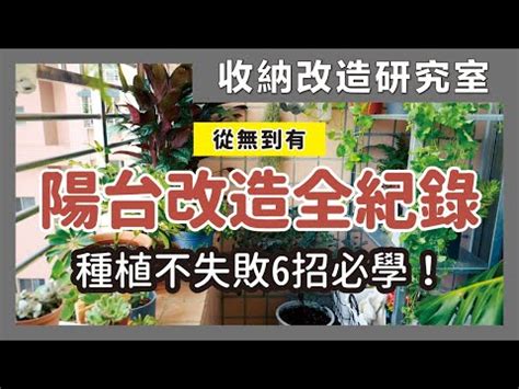 陽台樹種|【陽台植栽】15 種陽台植栽推薦｜新手也能輕鬆養出 